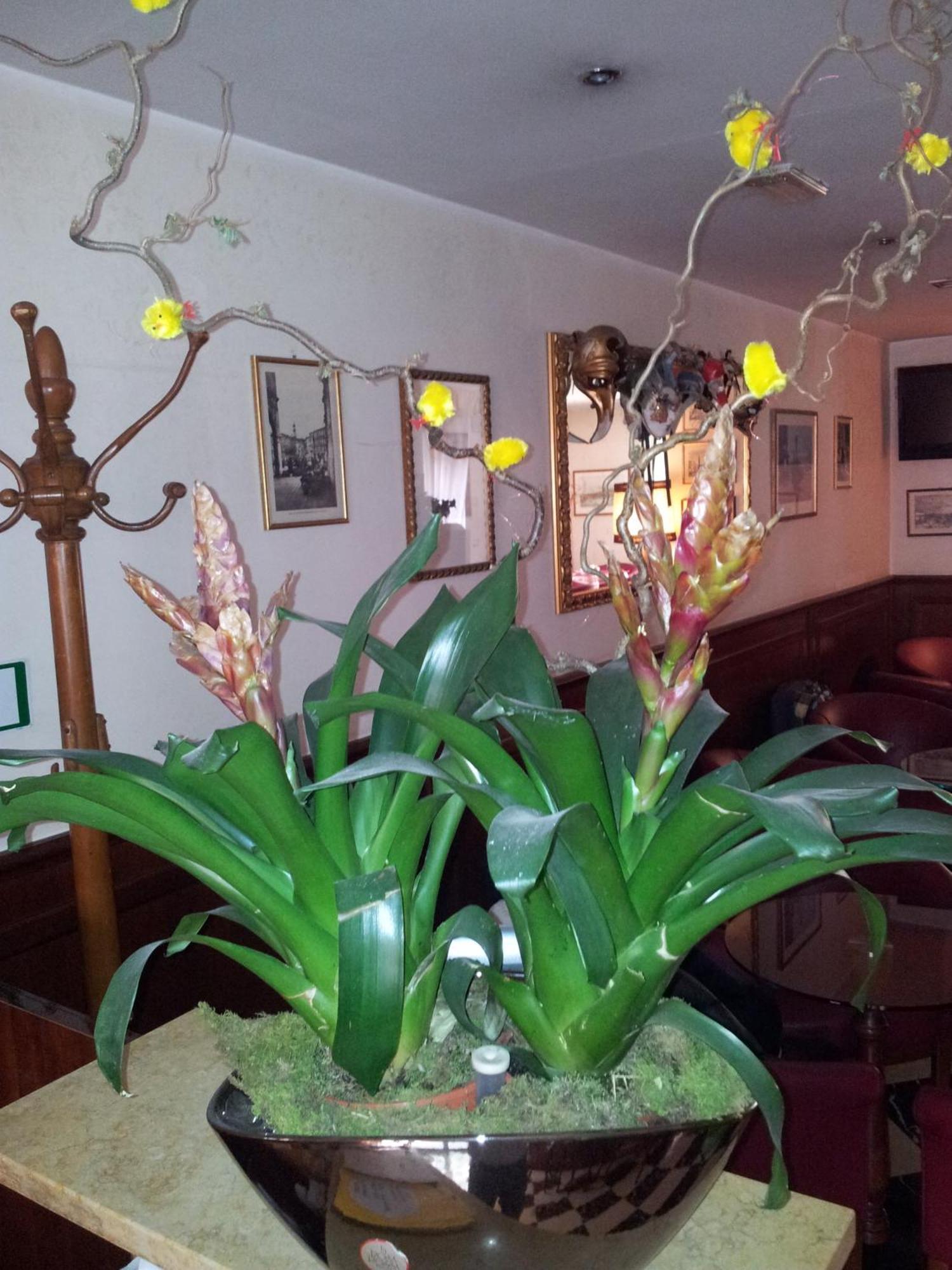 Hotel Regit Mestre Buitenkant foto